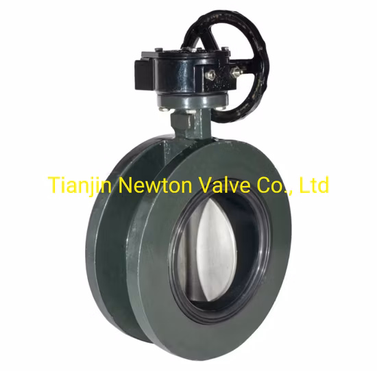Pn6 Pn16 Pn25 JIS5K 10K 16K Wafer Semi Lug Doule Flange U Type Concentric Line Resilient Seated Soft Seat Butterfly Valves for Marine