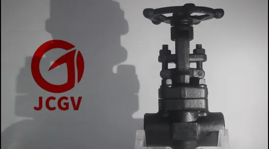 API598 A105n 800lb Forged Steel Gate Valve 