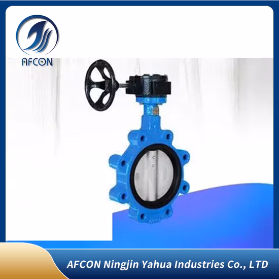 Wafer/Lug/Swing/Slot End Flanged Cast Iron/Stainless Steel Check Valve for Water Fire Protection
