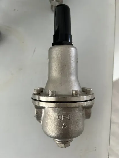 Stainless Steel Sanitary Sanitaire Pneumatic Butterfly/Diaphragm/Safety Relief/Non Return/Check/Angle Seat/Ball Control Valve (JN